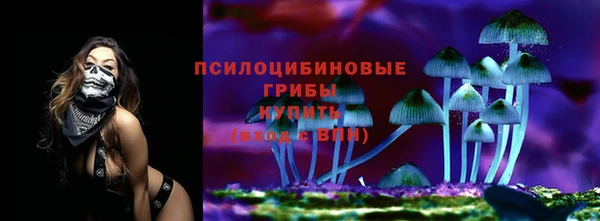 СК Абаза